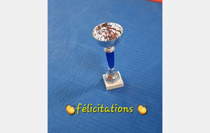 Tournoi St Cyr en Val