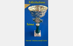 Tournoi de Châteauneuf/Loire