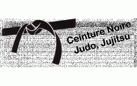 2 NOUVELLES CEINTURES NOIRES 