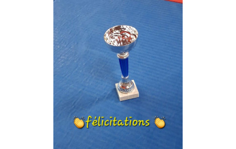 Tournoi St Cyr en Val