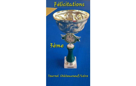 Tournoi de Châteauneuf/Loire