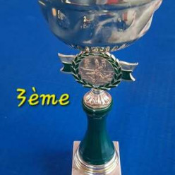 Tournoi de Châteauneuf/Loire